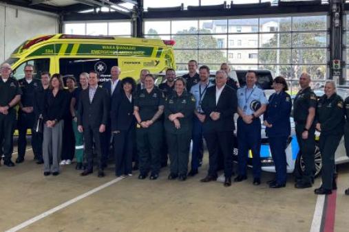 dli launch